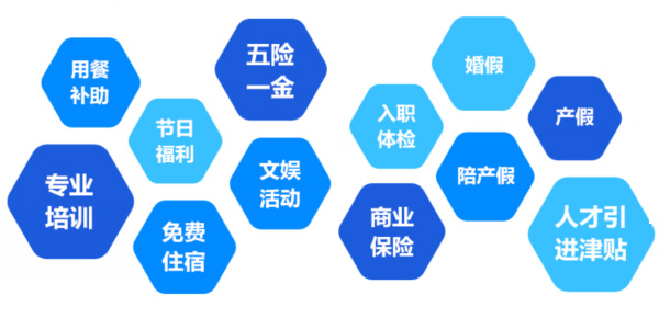 提供全面、系統、專業的培訓和廣闊的<br>職業發展空間和提升機會